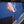 Fretboard Heather Royal T